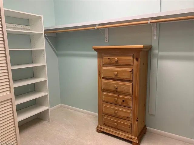 a view of walk in closet with empty racks