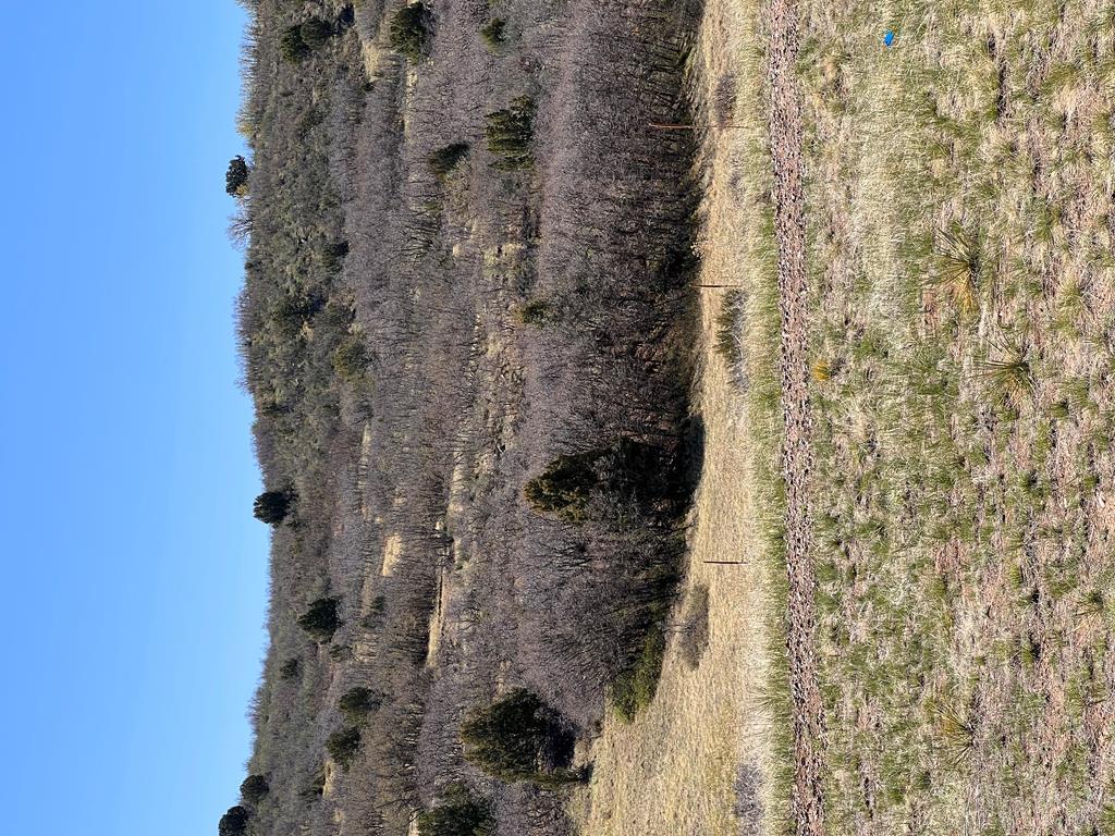 6137 Geronimo Road Rye, CO 81069 - Photo 4 of 8