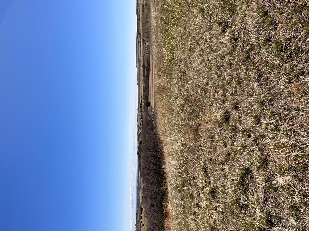 6137 Geronimo Road Rye, CO 81069 - Photo 5 of 8