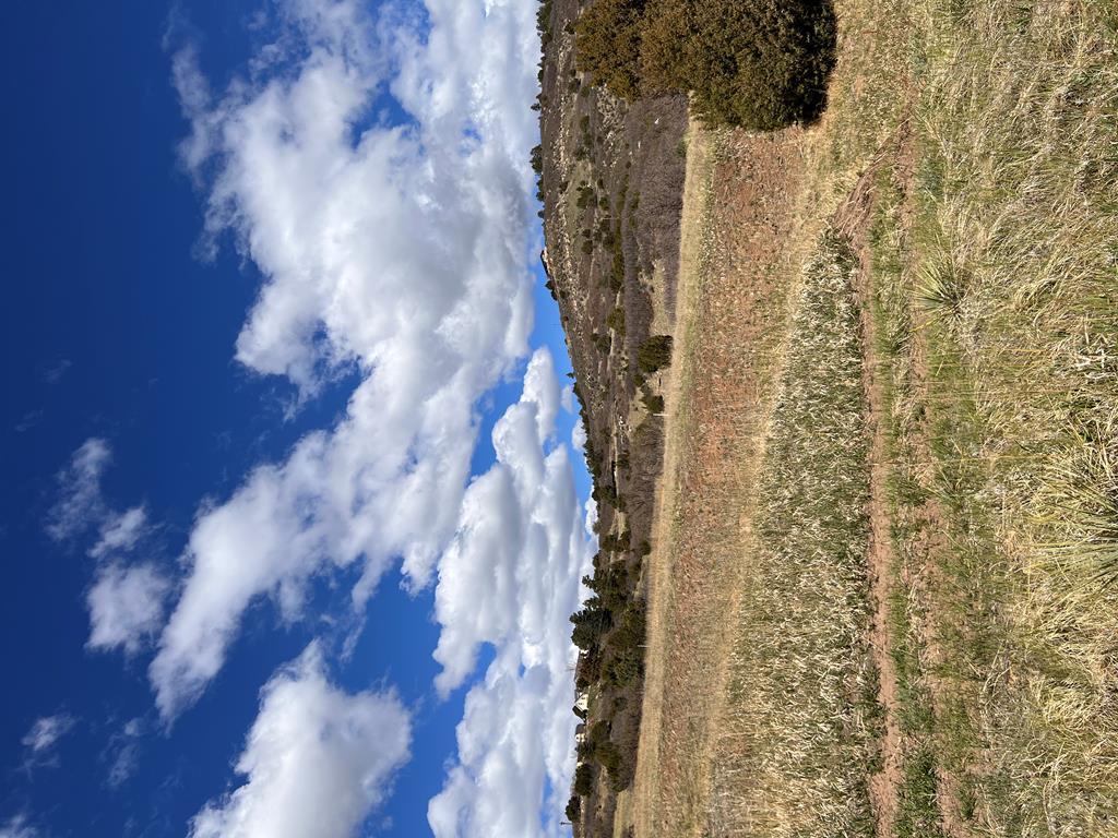 6137 Geronimo Road Rye, CO 81069 - Photo 8 of 8