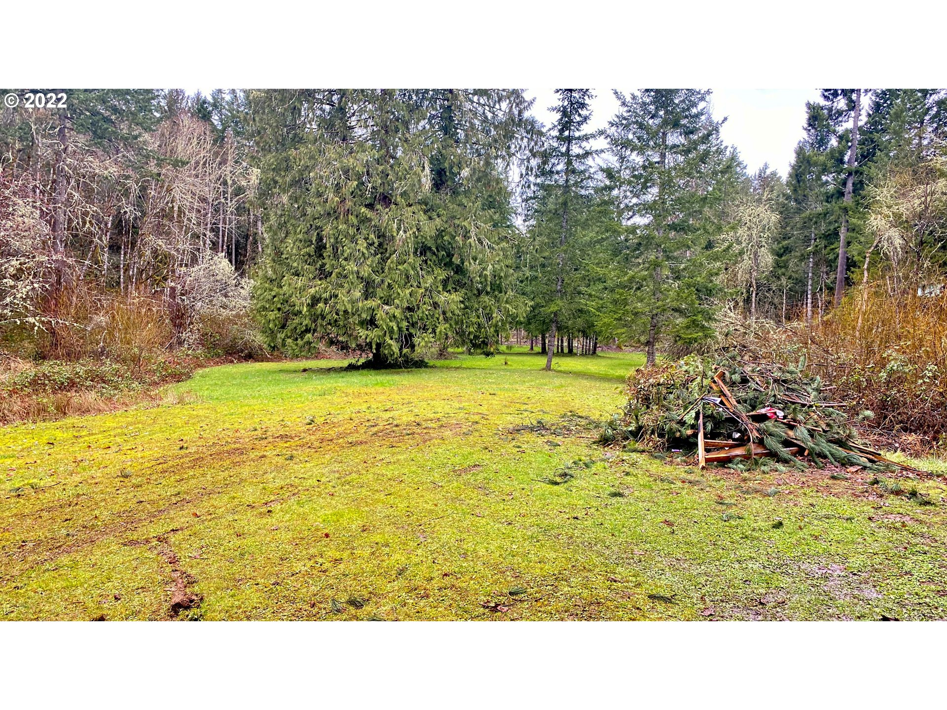 77678 Gillispie Road Dorena, OR 97434 - Photo 14 of 14 Gallery Image 14
