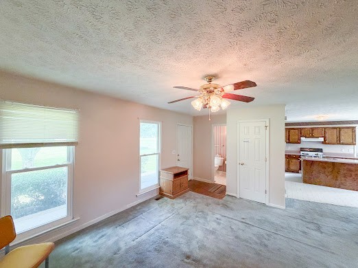 2019 Almaville Road Smyrna, TN 37167 - Photo 4 of 32