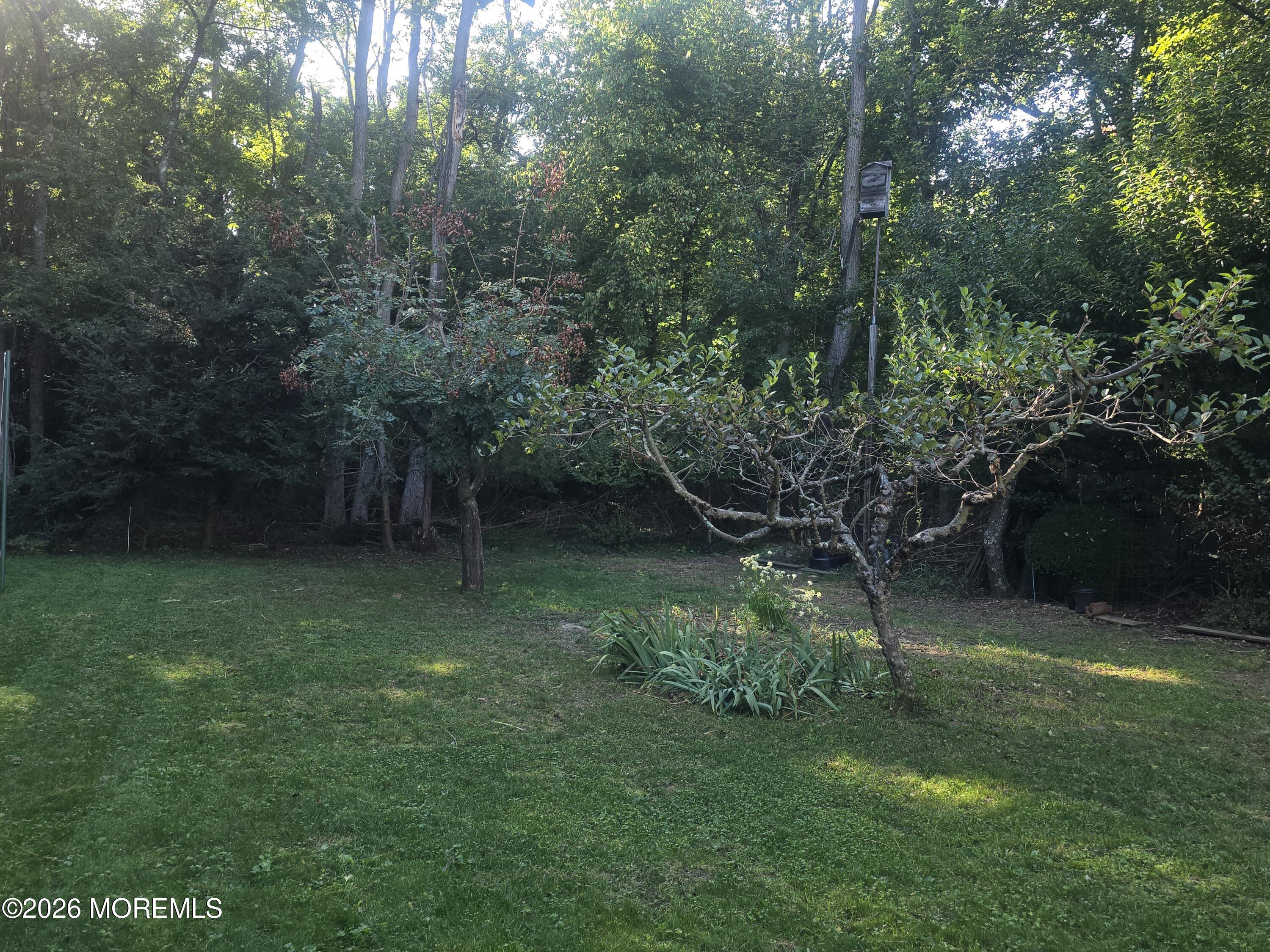 712 Holmdel Road Holmdel, NJ 07733 - Photo 68 of 73 20260915_165525