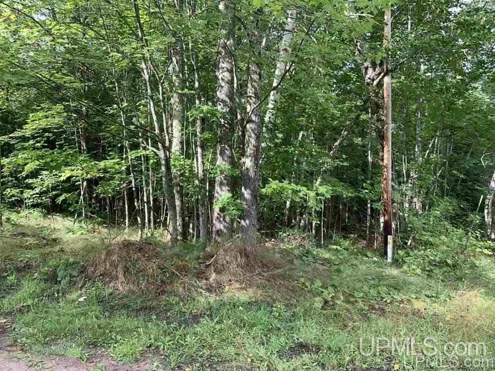 Lot 1 Bayview Road Lanse, MI 49946 - Photo 3 of 27