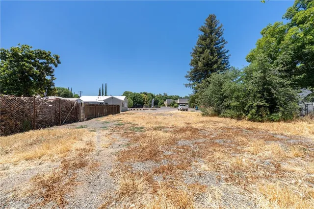a view of large tree with wooden fence