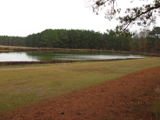 685 Rocky Point Road Carthage, MS 39051 - Photo 6 of 26 Photo 6