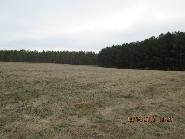685 Rocky Point Road Carthage, MS 39051 - Photo 9 of 26 Photo 9