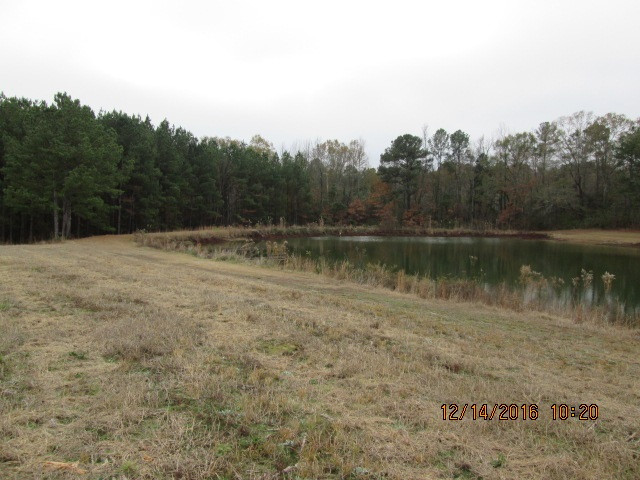 685 Rocky Point Road Carthage, MS 39051 - Photo 10 of 26 Photo 10