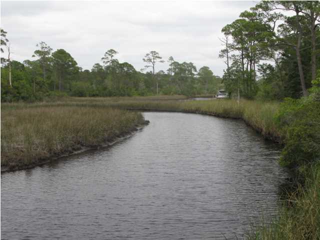 1 Lake Mist Ln Inlet Beach Inlet Beach, FL 32461 - Photo 1 of 7 a view of a lake view