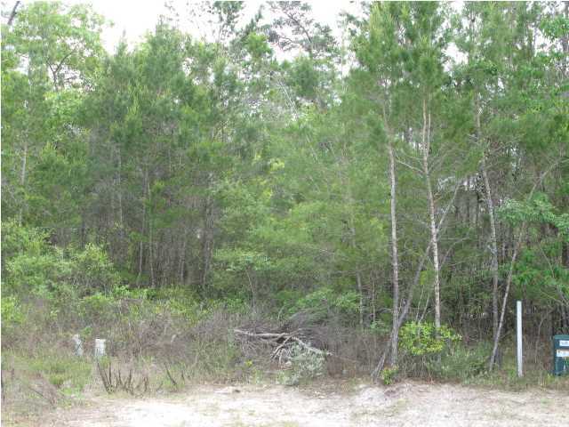 1 Lake Mist Ln Inlet Beach Inlet Beach, FL 32461 - Photo 4 of 7 a view of a forest with trees and shower