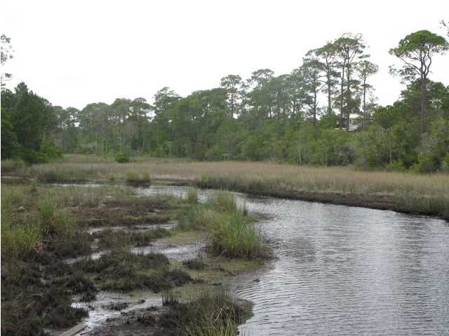 1 Lake Mist Ln Inlet Beach Inlet Beach, FL 32461 - Photo 7 of 7 a view of a lake view with lots of trees