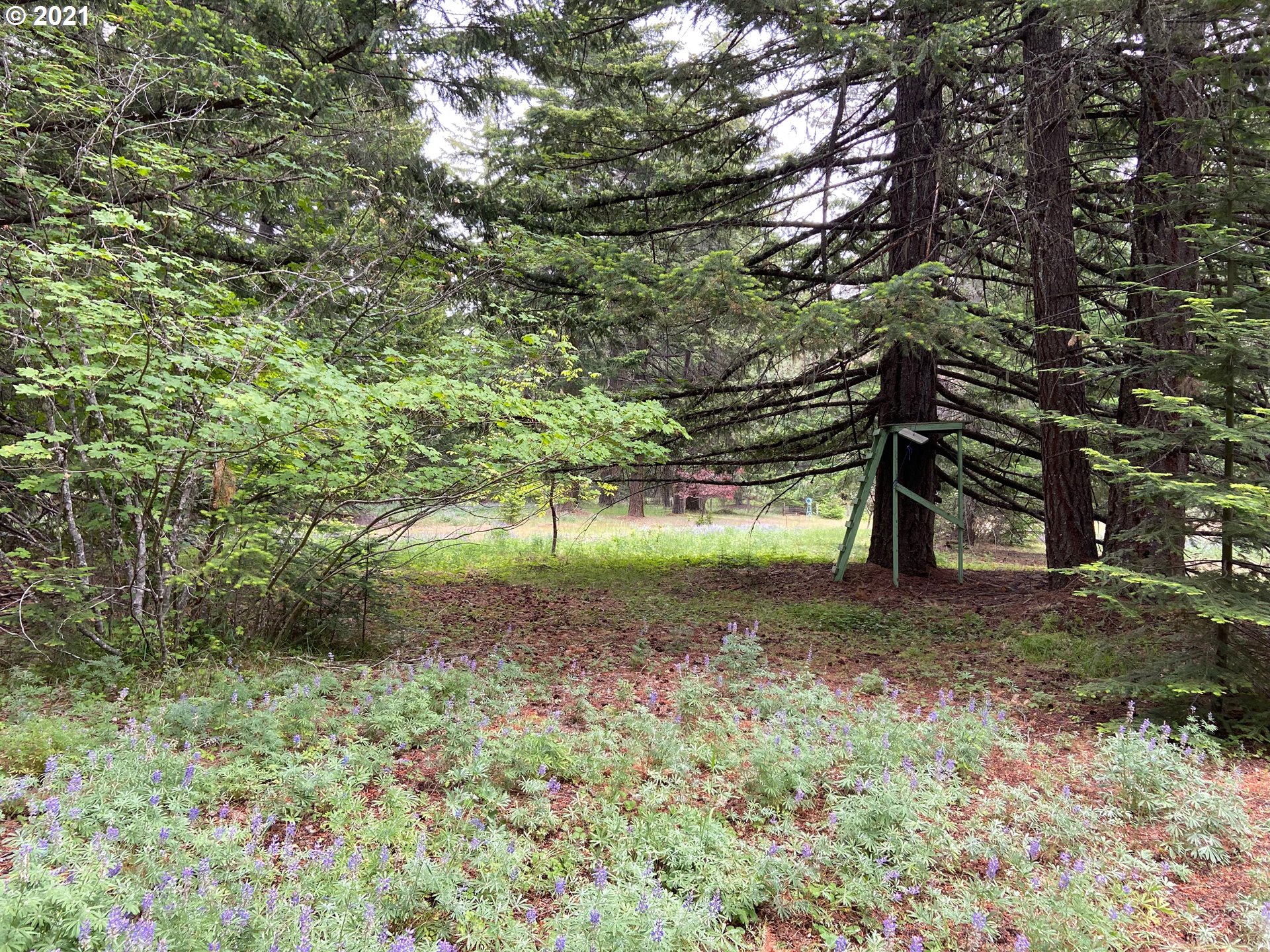 95 West Timber Valley Road Appleton, WA 98602 - Photo 23 of 25 Gallery Image 23