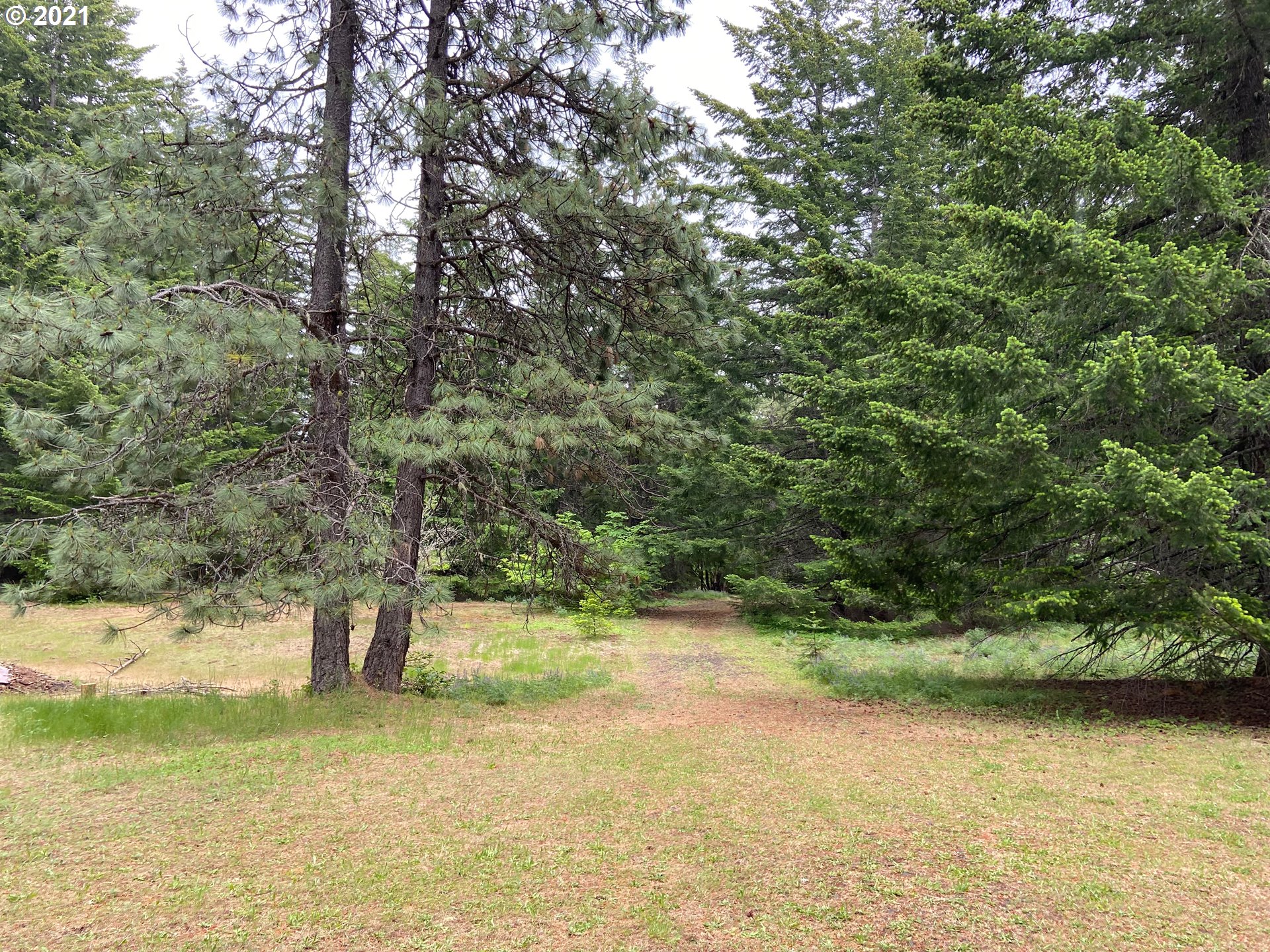 95 West Timber Valley Road Appleton, WA 98602 - Photo 8 of 25 Gallery Image 8