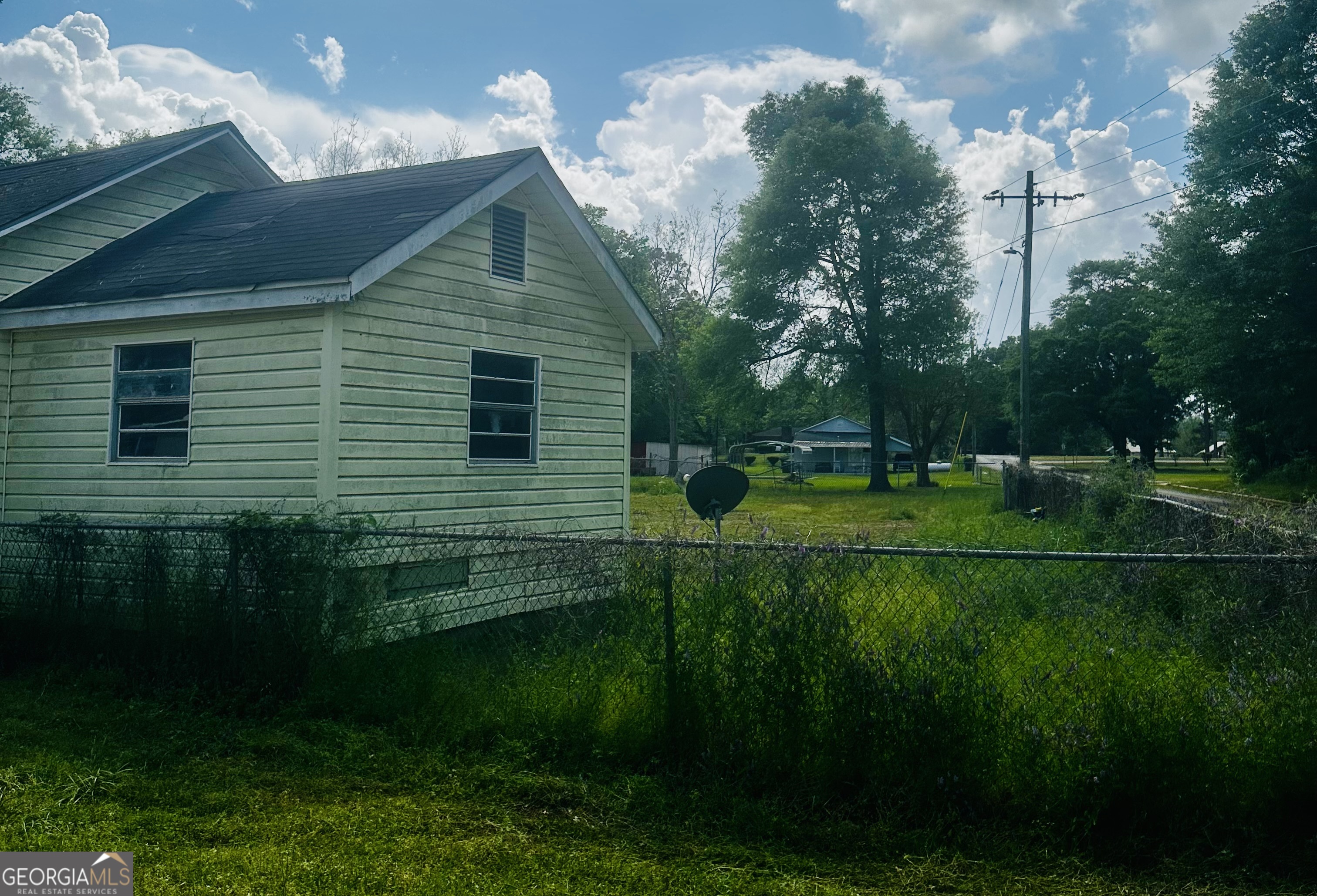 237 Bray Street Leary, GA 39862 - Photo 3 of 18