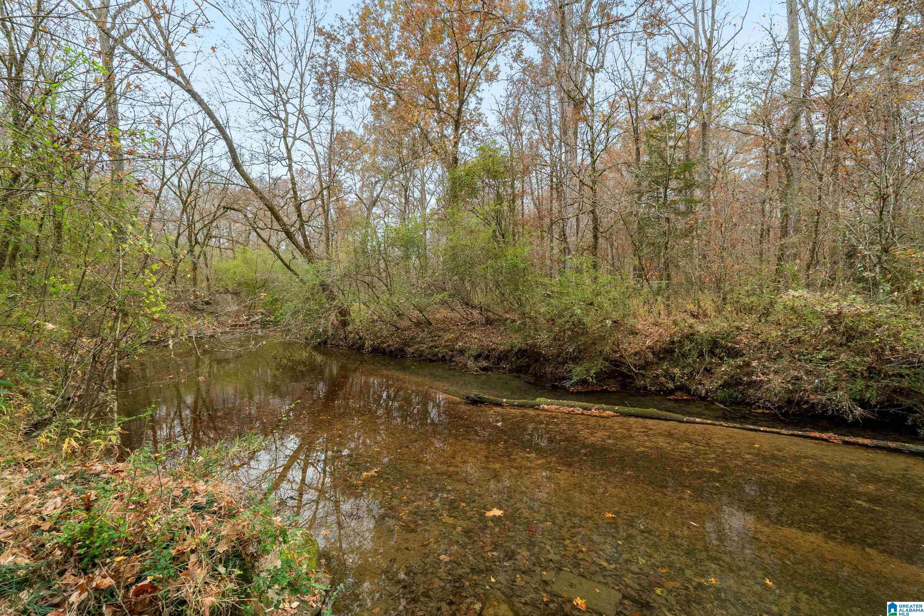 2320 Montevallo Road Southwest Leeds, AL 35094 - Photo 51 of 62