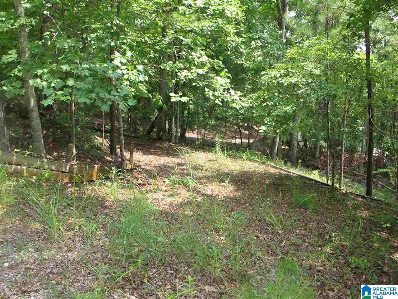 0 Edwards Drive, Unit 1 Wedowee, AL 36278 - Photo 12 of 13