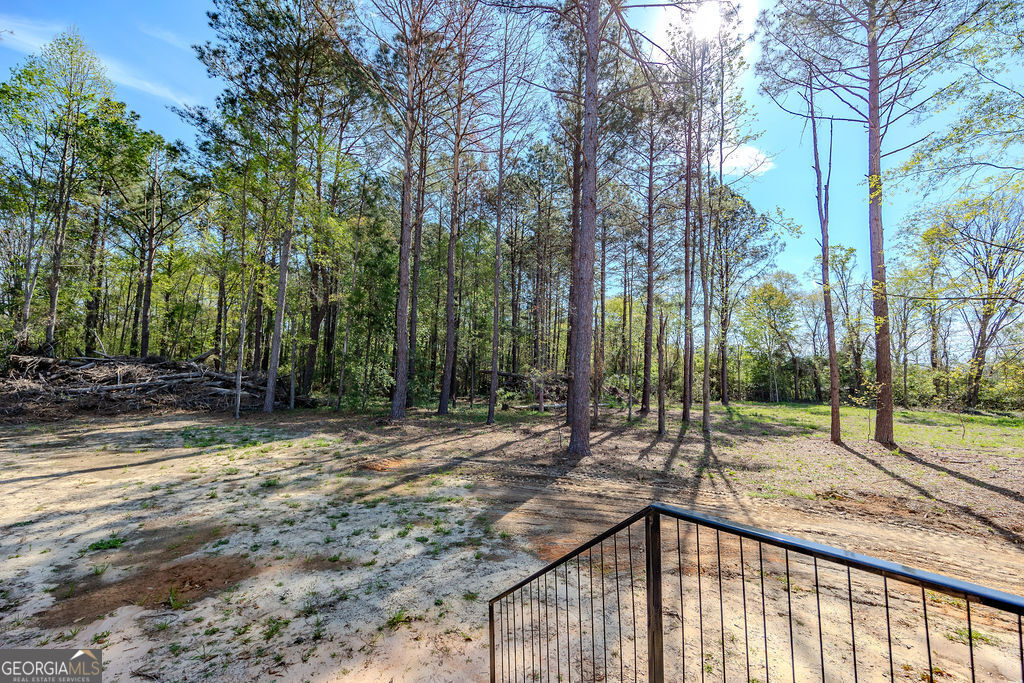 226 Mullis Street Dexter, GA 31019 - Photo 33 of 37 a view of a yard with trees
