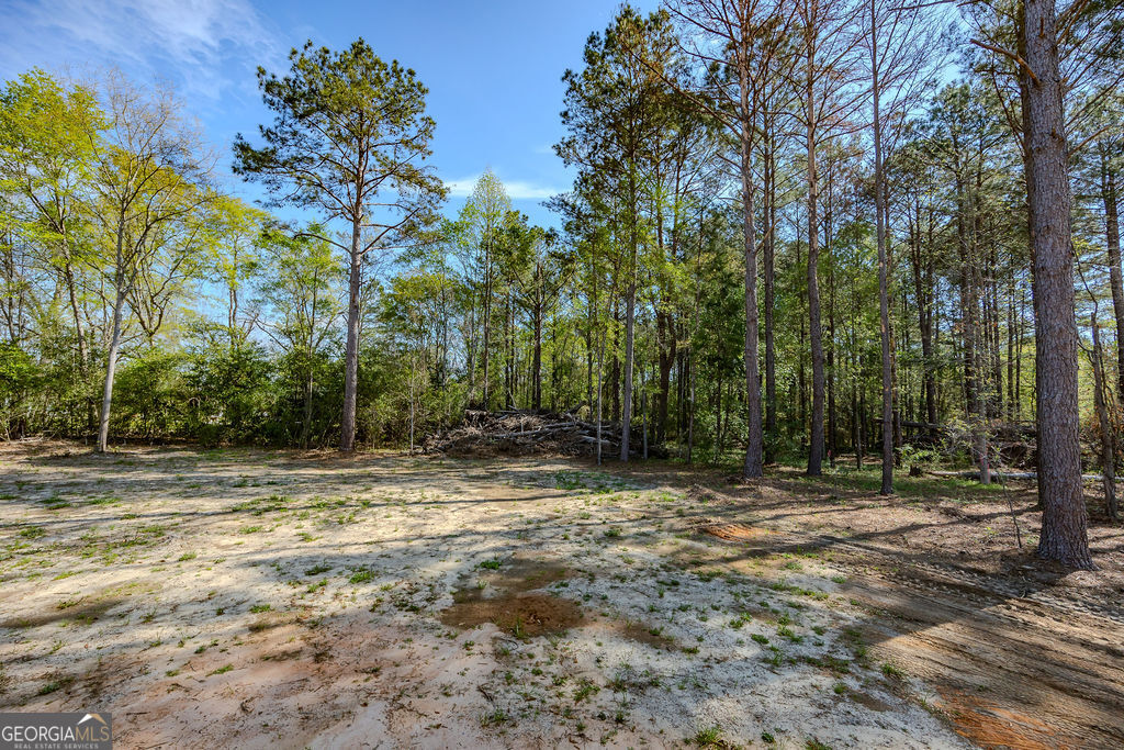 226 Mullis Street Dexter, GA 31019 - Photo 36 of 37 a view of outdoor space with trees
