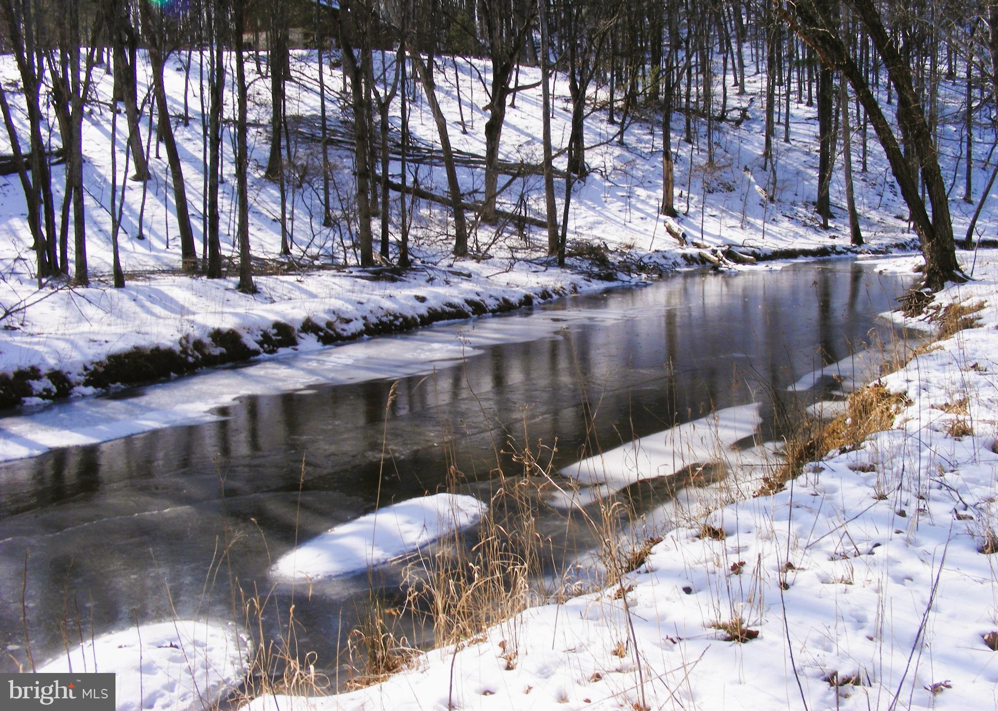 Highview Lane Berkeley Springs, WV 25411 - Photo 1 of 11 Sleepy Creek on Lower Back Lot Highview Rd.