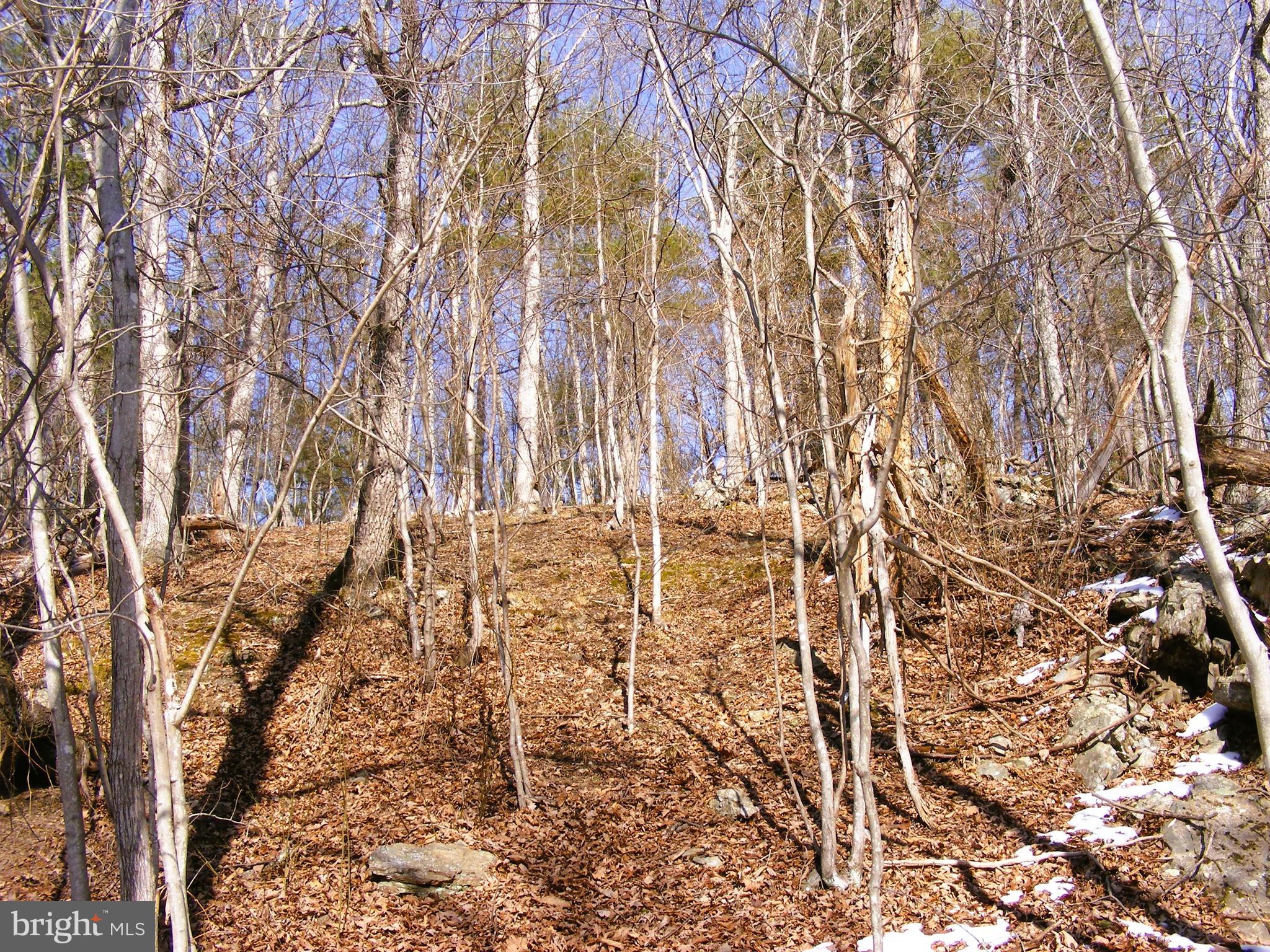 Highview Lane Berkeley Springs, WV 25411 - Photo 8 of 11 View from Lower Lot to Upper Lot Highview Rd