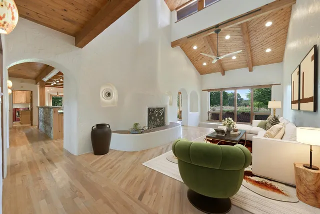 a living room with furniture and a potted plant