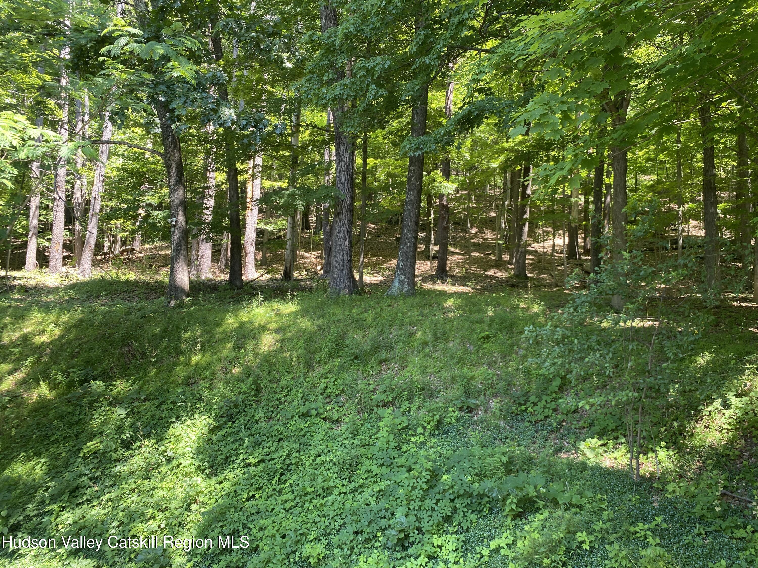 696 Sawkill Road Kingston, NY 12401 - Photo 46 of 48 saw115