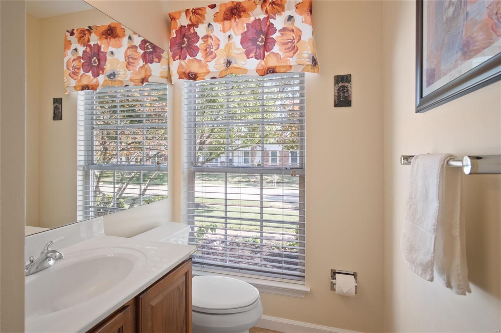 16242 Windfall Ridge Drive Chesterfield, MO 63005 - Photo 17 of 33 Gallery Image 17