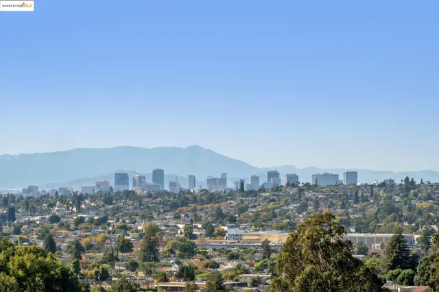 a view of a dry yard with lots of green space