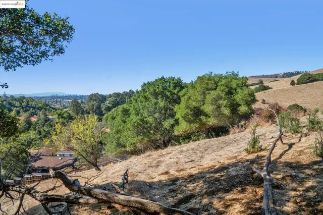 a view of house with a large window