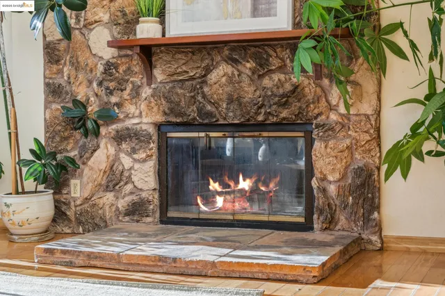 a view of fireplace with plants and wooden floor