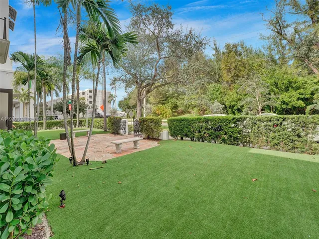 a view of a park with a tree