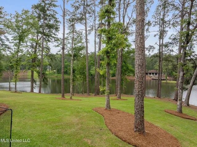 $979,000 | 9 Sanctuary Drive, Sumrall, MS 39482
