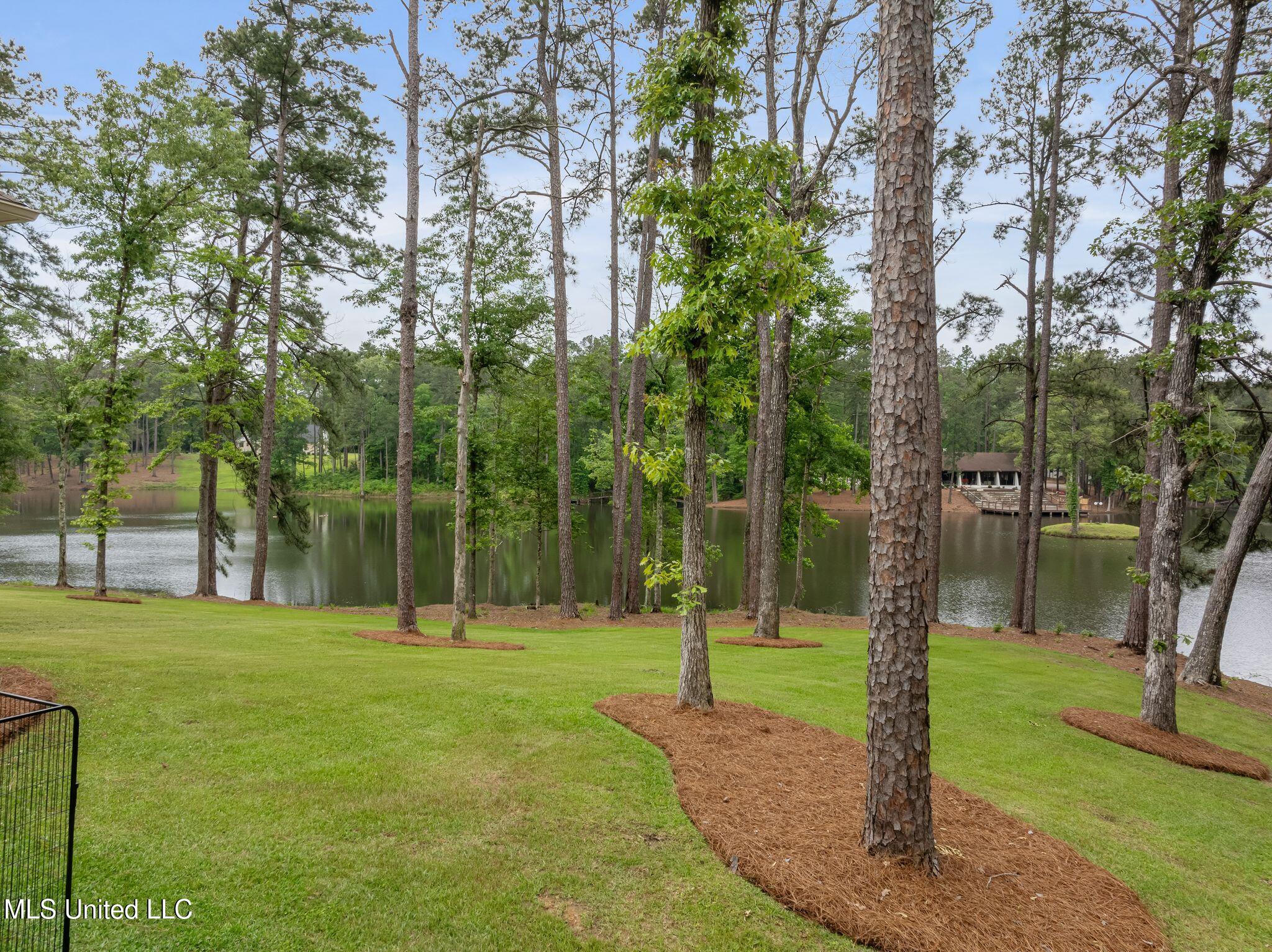 9 Sanctuary Drive Sumrall, MS 39482 - Photo 53 of 66 9_Sanctuary_Lane-53