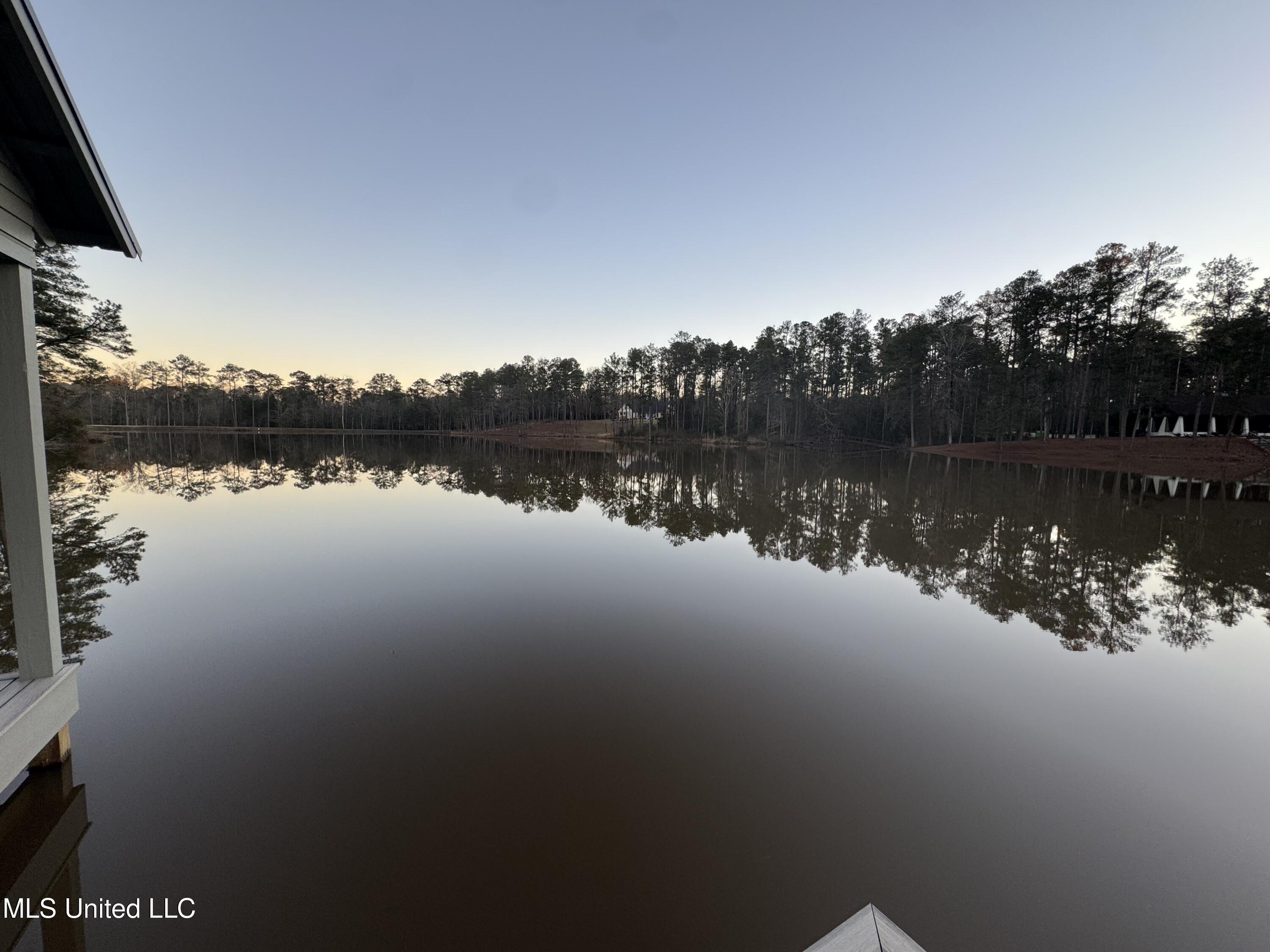 9 Sanctuary Drive Sumrall, MS 39482 - Photo 66 of 66 IMG_9987