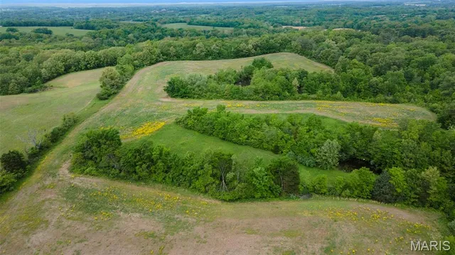 $650,000 | 3933 State Hwy B, Oak Ridge, MO 63769