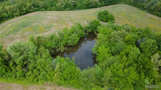 $650,000 | 3933 State Hwy B, Oak Ridge, MO 63769