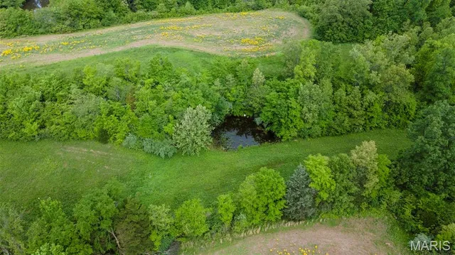 $650,000 | 3933 State Hwy B, Oak Ridge, MO 63769