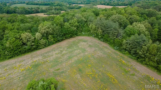 $650,000 | 3933 State Hwy B, Oak Ridge, MO 63769