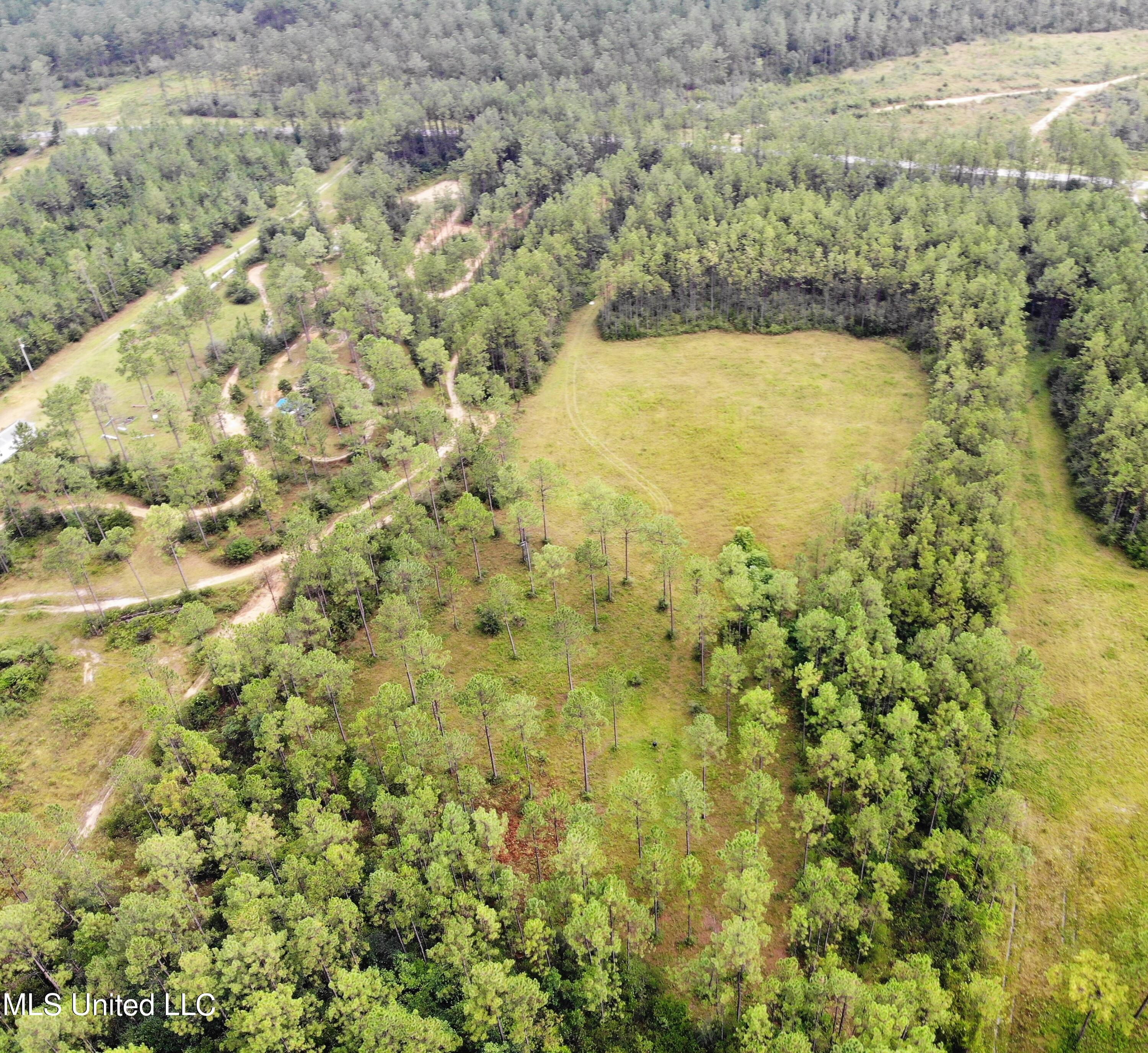 0 O Neal Road Vancleave, MS 39565 - Photo 8 of 12 DJI_0398