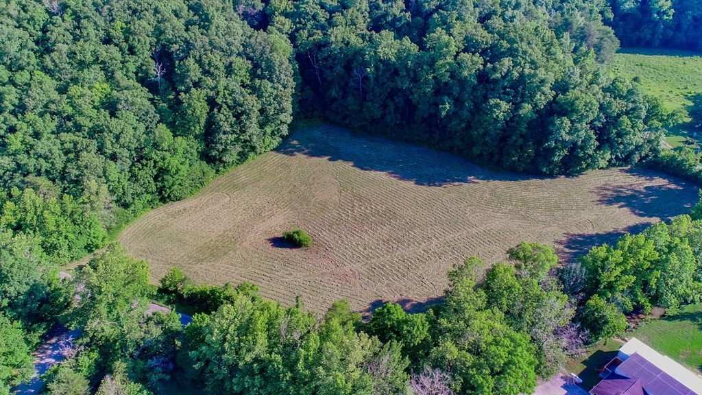 724 Sims Road Sevierville, TN 37876 - Photo 3 of 34 Gallery Image 3