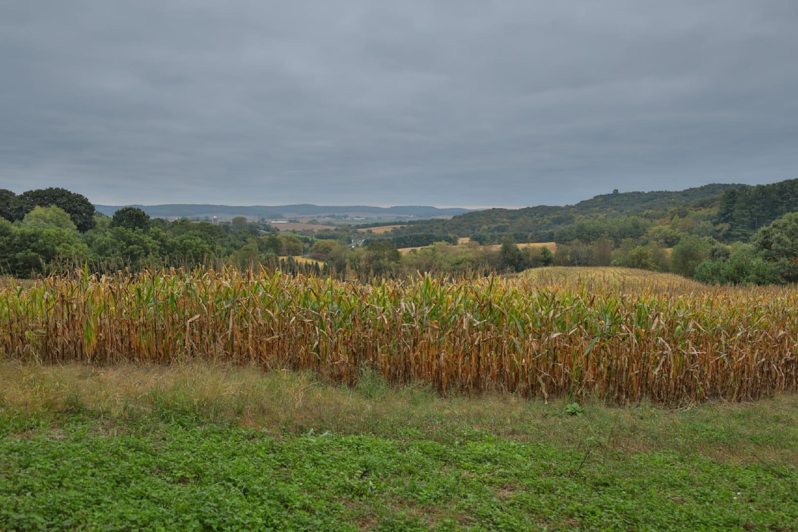 0 Pierce Road Hixton, WI 54635 - Photo 17 of 90 Gallery Image 17