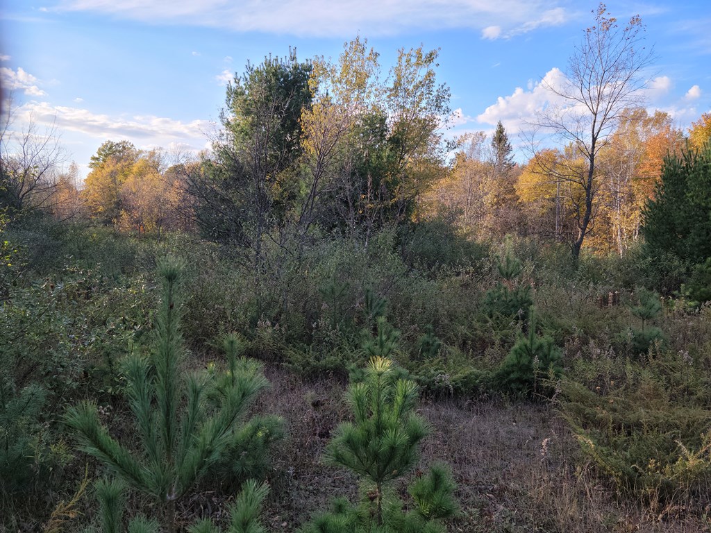 Tbdlot2 Gibraltar Road Fish Creek, WI 54212 - Photo 2 of 6