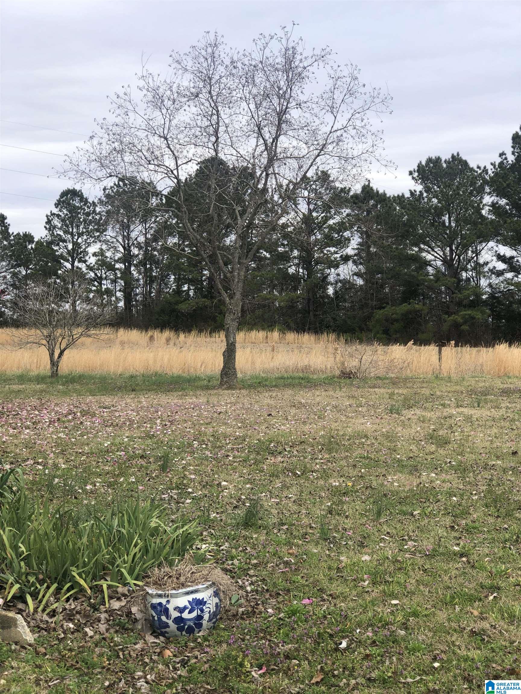 71 County Road Thorsby, AL 35171 - Photo 3 of 16