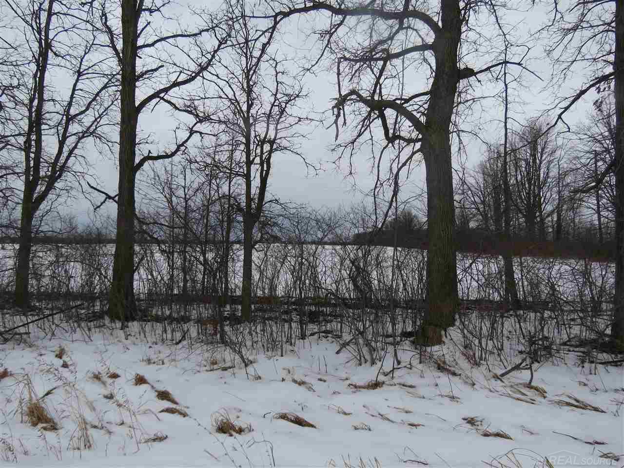 0 Fisher Road Avoca, MI 48006 - Photo 3 of 6