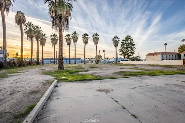 a view of a park with palm trees