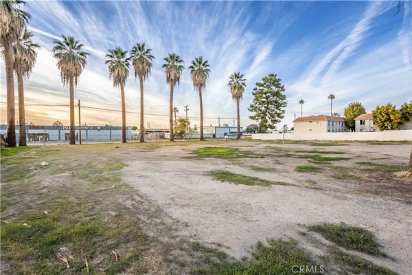 a view of three trees and outdoor space
