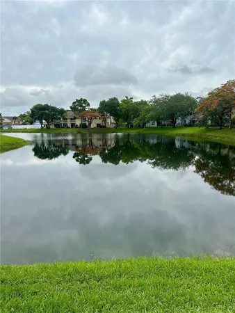 a view of a garden