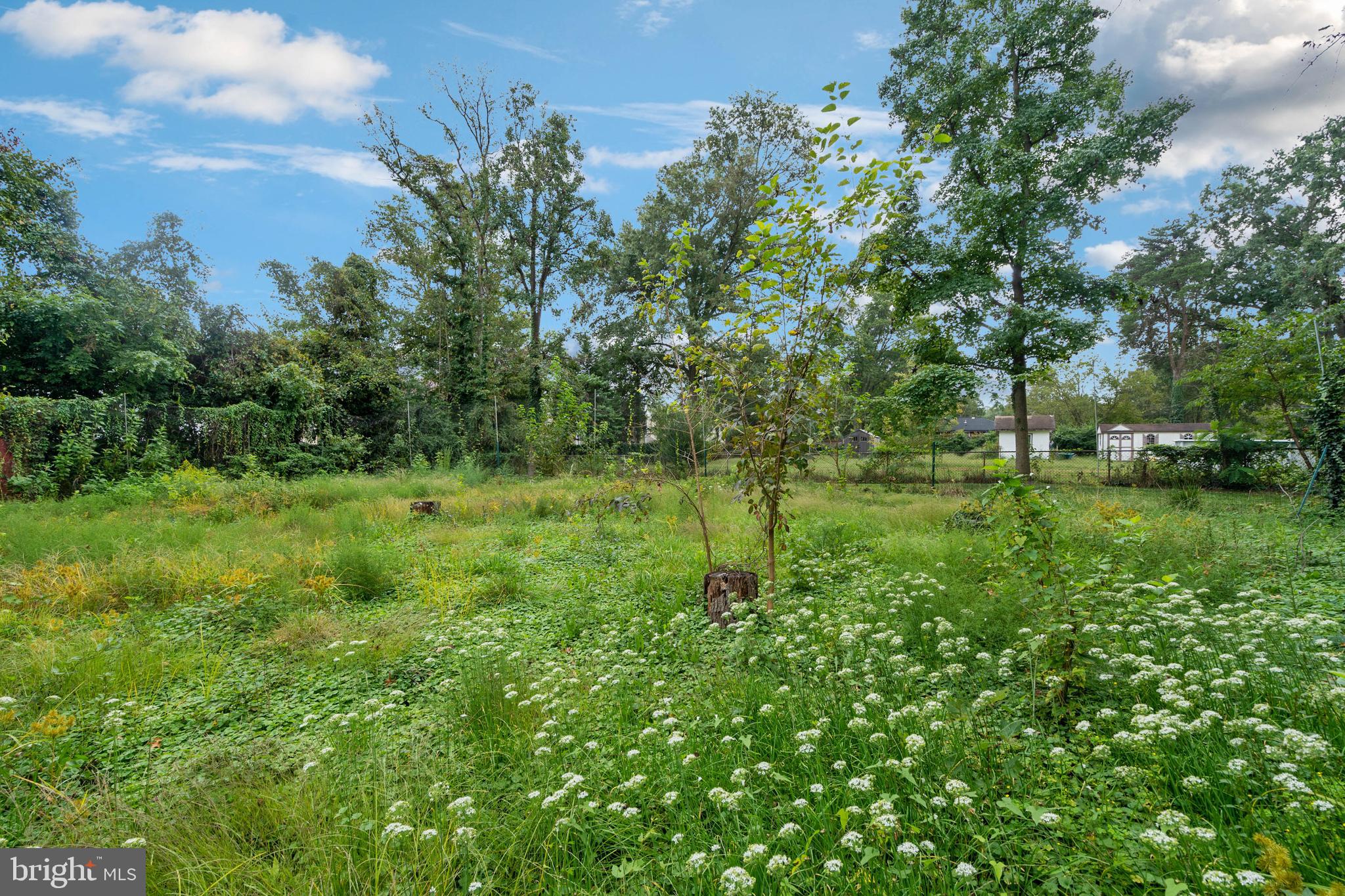 5107 Cedar Road Alexandria, VA 22309 - Photo 27 of 32 Gallery Image 27
