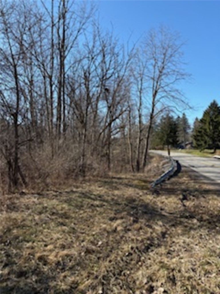 South Holley Road Holley, NY 14470 - Photo 3 of 4