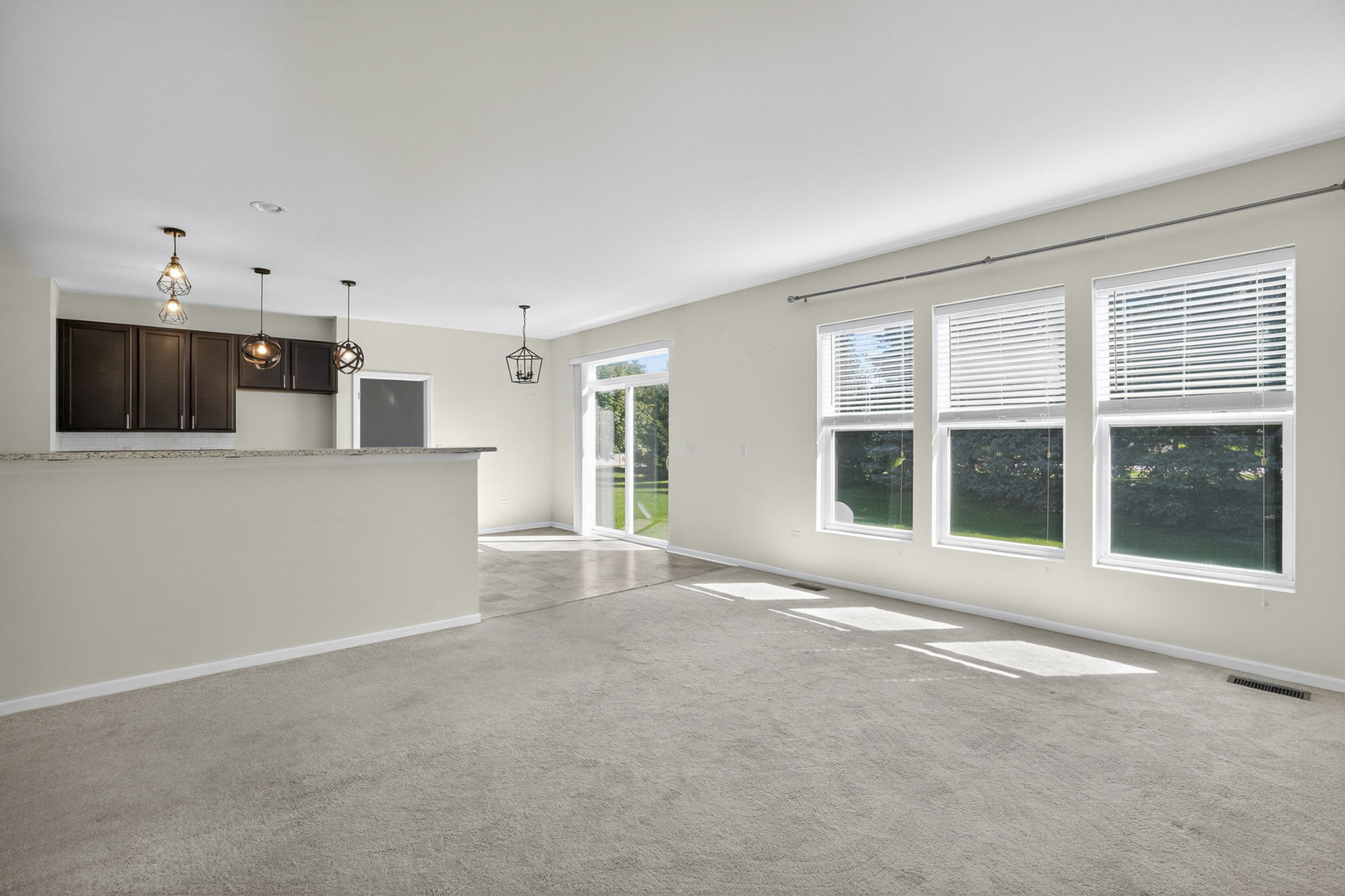 232 Julep Avenue Oswego, IL 60543 - Photo 11 of 31